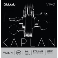 D'ADDARIO KAPLAN VIVO