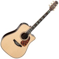 Takamine P10DC Electro Cutaway Natural Gloss
